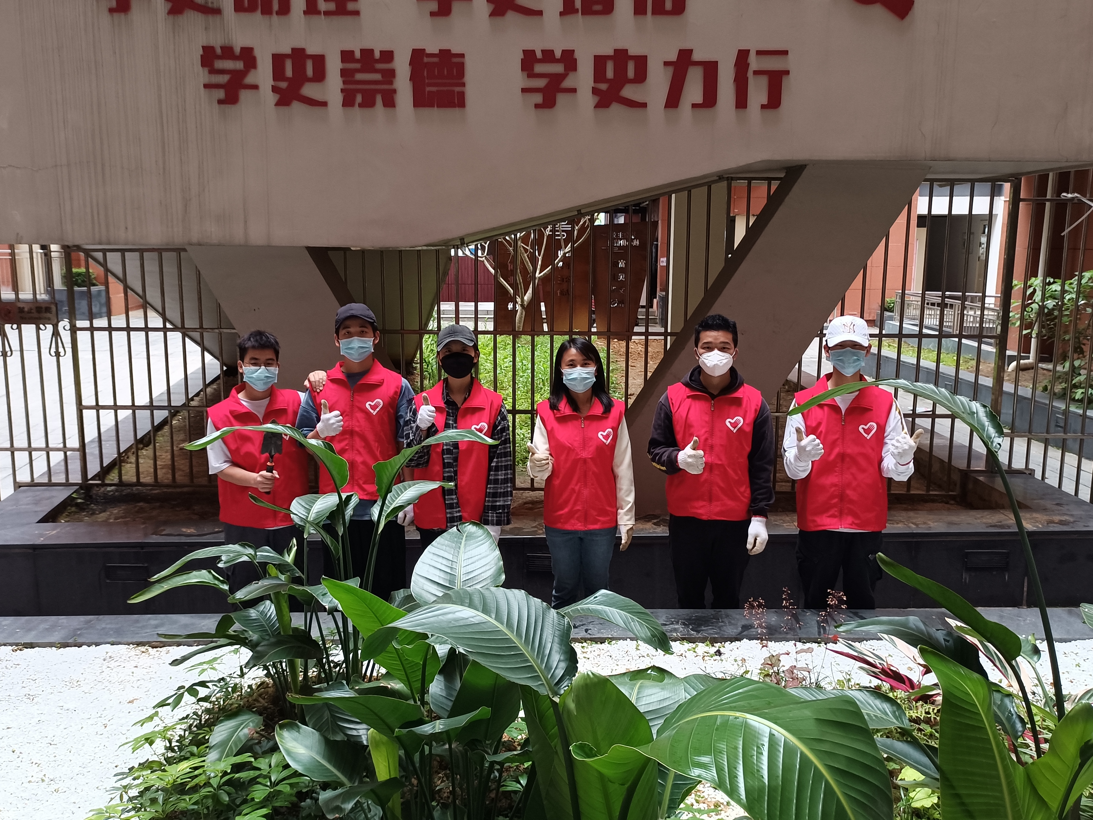 党建“红”引领园林“绿”志愿服务项目